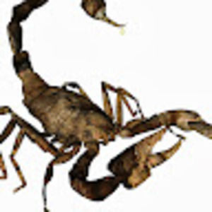 Meet your Posher, Frederick j